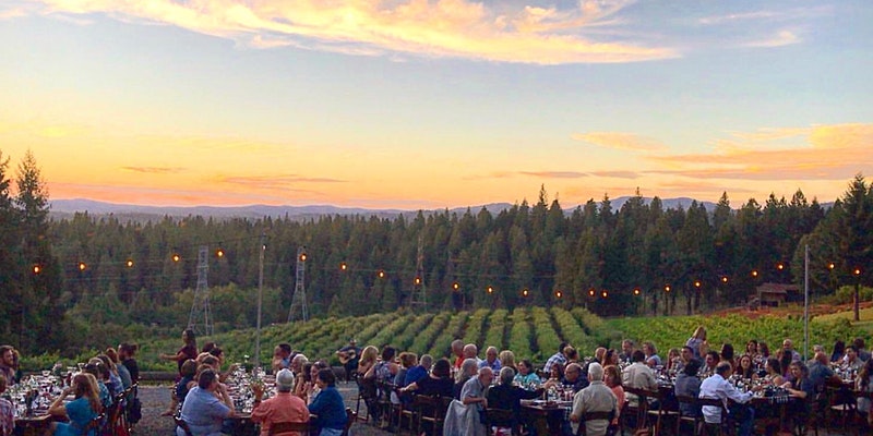 delfino farm to fork