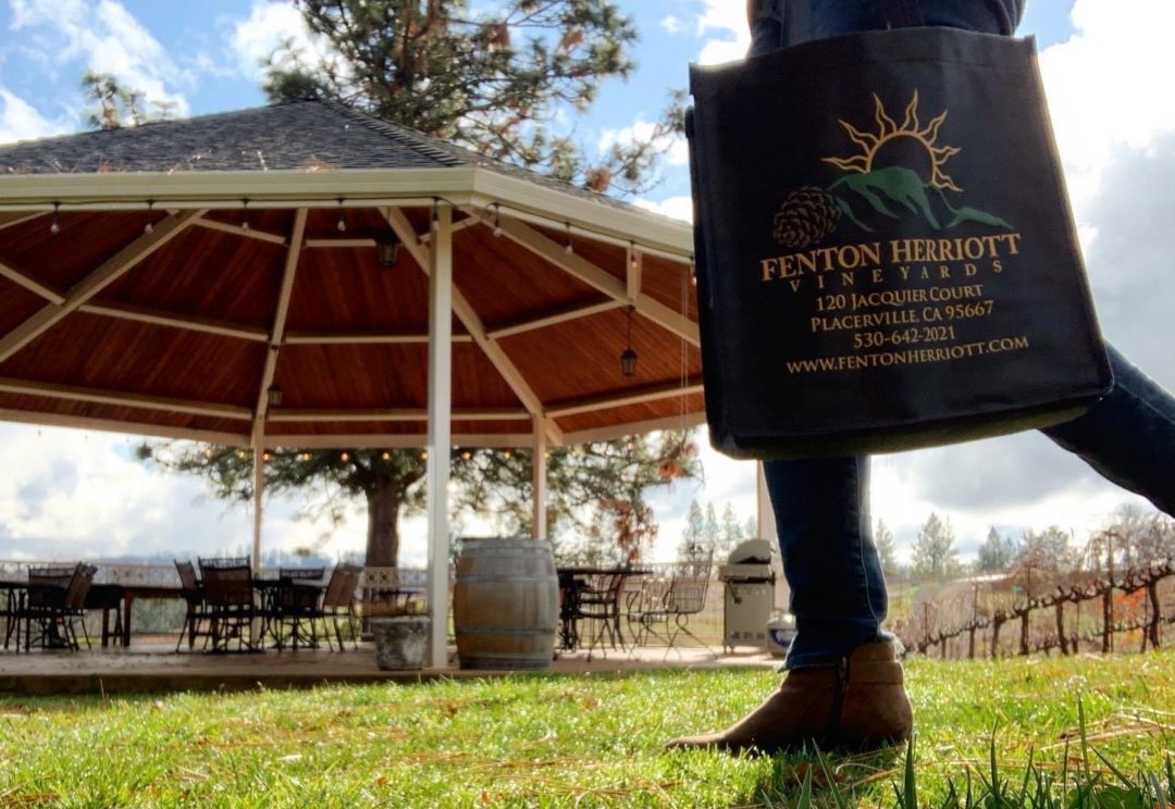 Fenton Herriott Vineyard